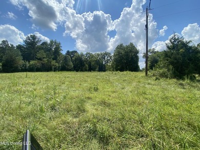 42 beautiful acres, with rolling pastures, mature trees and - photo 22