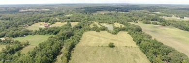 42 beautiful acres, with rolling pastures, mature trees and - photo 24