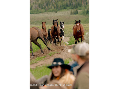 Historic 155 acre Goosewing Ranch in the Gros Ventre Wilderness - photo 31