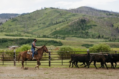Historic 155 acre Goosewing Ranch in the Gros Ventre Wilderness - photo 40