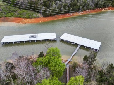 Partially Cleared Lakeview Lot - photo 24