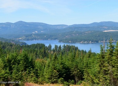 Lake Lot For Sale in Harrison, Idaho