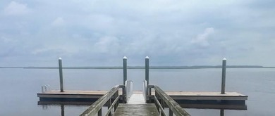 South Newport River - McIntosh County Lot For Sale in Townsend Georgia