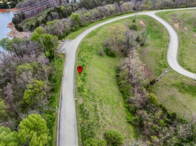 Partially Cleared Lakeview Lot - photo 3