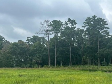 Wow! This river lot is priced to sell. Most recent sales of - photo 3