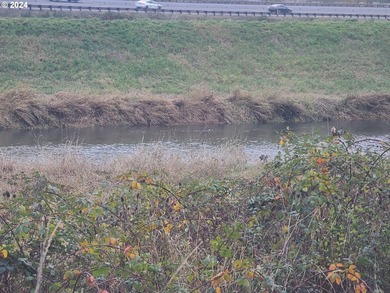 Lake Sacajawea Lot For Sale in Kelso Washington