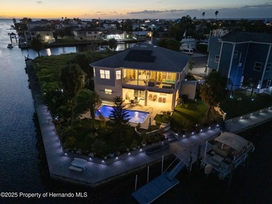 PRICE IMPROVEMENT ON THIS GORGEOUS TROPICAL PARADISE !!! - photo 7