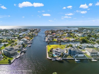PRICE IMPROVEMENT ON THIS GORGEOUS TROPICAL PARADISE !!! - photo 8