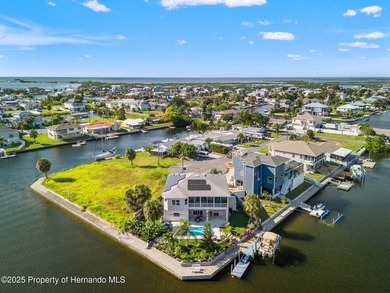 PRICE IMPROVEMENT ON THIS GORGEOUS TROPICAL PARADISE !!! - photo 10