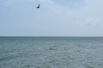 Perfectly positioned on the shores of Aransas Bay, this - photo 46