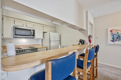 Enjoy lakefront living in Unit 5I of the Emerald Isle - photo 10