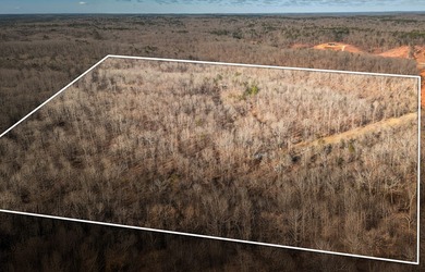 (private lake, pond, creek) Acreage For Sale in Winona Missouri