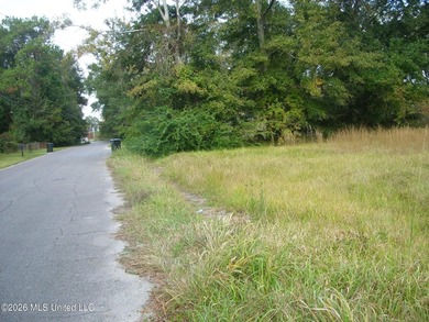 Buyer ard/or buyers agent to verify all information on listing - photo 1