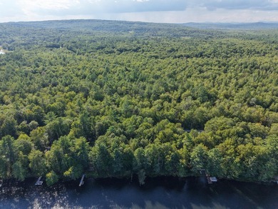 This gorgeous, untouched 0.69-acre property features 100 feet of - photo 4