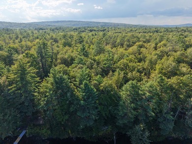 This gorgeous, untouched 0.69-acre property features 100 feet of - photo 6