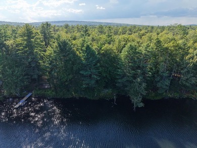 This gorgeous, untouched 0.69-acre property features 100 feet of - photo 7