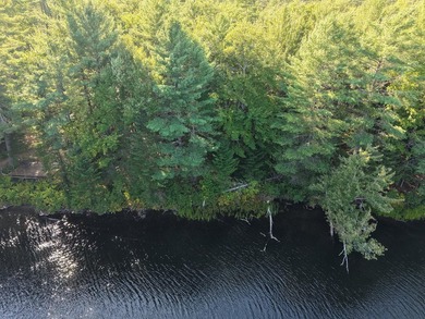 This gorgeous, untouched 0.69-acre property features 100 feet of - photo 8