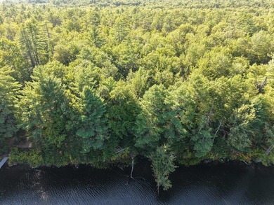 This gorgeous, untouched 0.69-acre property features 100 feet of - photo 10