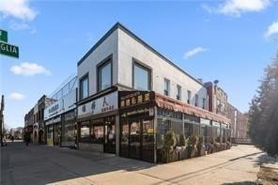 HEART OF 86th STREET BENSONHURST AMAZINGLY BUSY HIGH TRAFFIC - photo 3