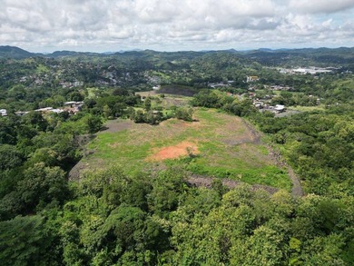 Commercial Land for Sale - 7.5 Hectares in Chilibre, Panama - photo 11