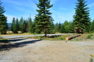 (private lake, pond, creek) Lot For Sale in Harrison Idaho