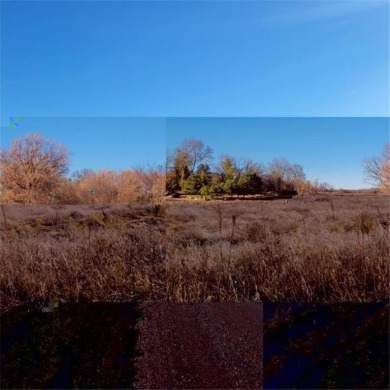 Lake Lot For Sale in Greenleaf Twp, Minnesota