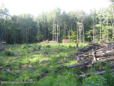 (private lake, pond, coastal) Acreage Sale Pending in Scott Twp Pennsylvania