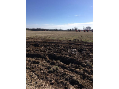 Lake Texoma Lot For Sale in Gordonville Texas