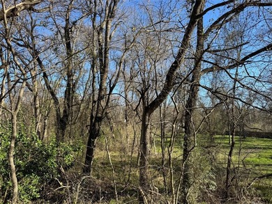 Cedar Creek Lake Lot For Sale in Gun Barrel City Texas