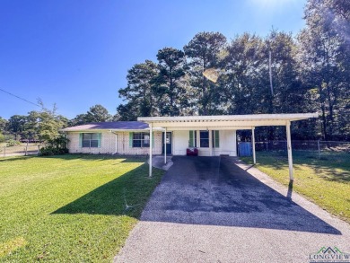 Lake Home For Sale in Avinger, Texas