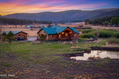 Lake Home For Sale in Alpine, Arizona