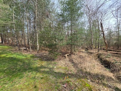 Private Cul-de-Sac Lot Backing to Common Area in Fairfield Glade - photo 11