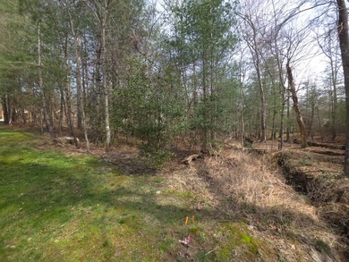 Private Cul-de-Sac Lot Backing to Common Area in Fairfield Glade - photo 12