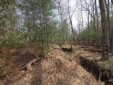 Private Cul-de-Sac Lot Backing to Common Area in Fairfield Glade - photo 14