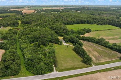 We have what you've been seeking! 14.2 acres in Edwardsville - photo 34