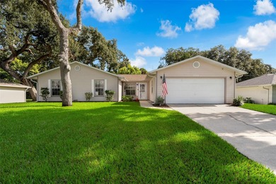 (private lake, pond, creek) Home For Sale in Edgewater Florida
