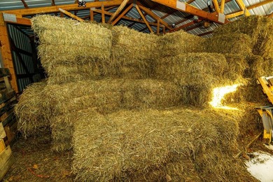 Plum Lake Event & Equestrian Center is a rare 40-acre hobby farm - photo 48