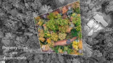 Lake Lot For Sale in Landrum, South Carolina