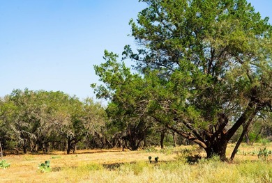 Welcome to 40 beautiful acres of open land surrounded by - photo 3