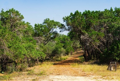 Welcome to 40 beautiful acres of open land surrounded by - photo 4