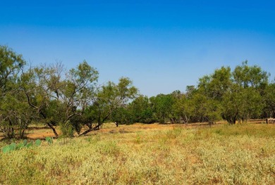 Welcome to 40 beautiful acres of open land surrounded by - photo 5