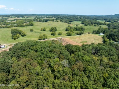 No Restrictions! Bring your vision to life on this 6.93-acre - photo 16