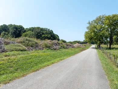 No Restrictions! Bring your vision to life on this 6.93-acre - photo 26
