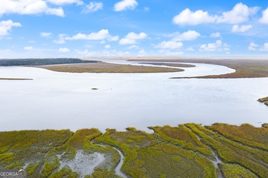 Lake Lot For Sale in Townsend, Georgia