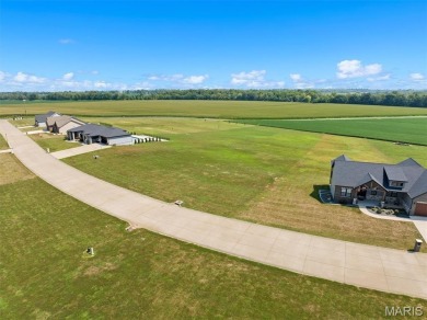Lake Lot Sale Pending in Freeburg, Illinois