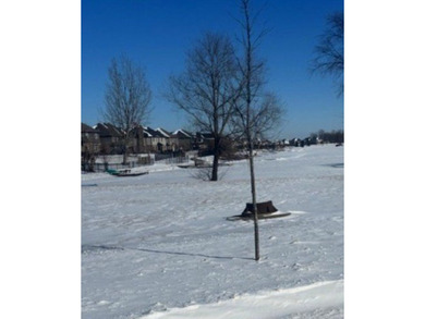 (private lake, pond, creek) Lot Active Under Contract in Manhattan Illinois