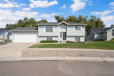 Lake Home For Sale in Kalispell, Montana