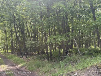 145 wooded acres with a pond.Prime land for hunting or - photo 4