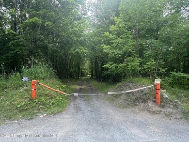 145 wooded acres with a pond.Prime land for hunting or - photo 5