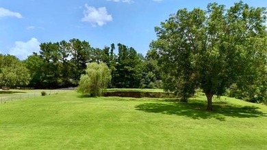 Ultrahip, fully remodeled 4 bedroom, 2.5 bath home on 2 acres - photo 34